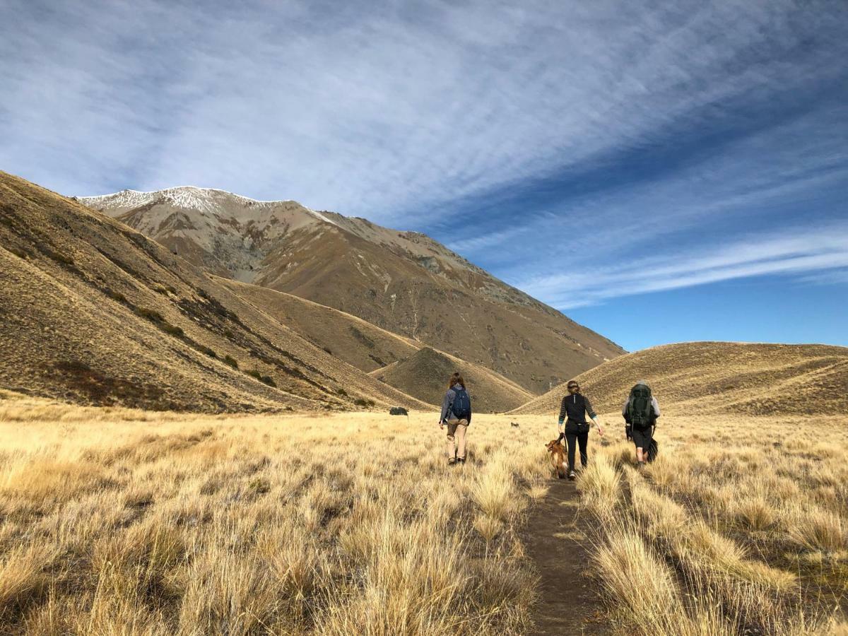 Tailor Made Tekapo Accommodation - Guesthouse & Hostel Лейк Текапо Екстериор снимка