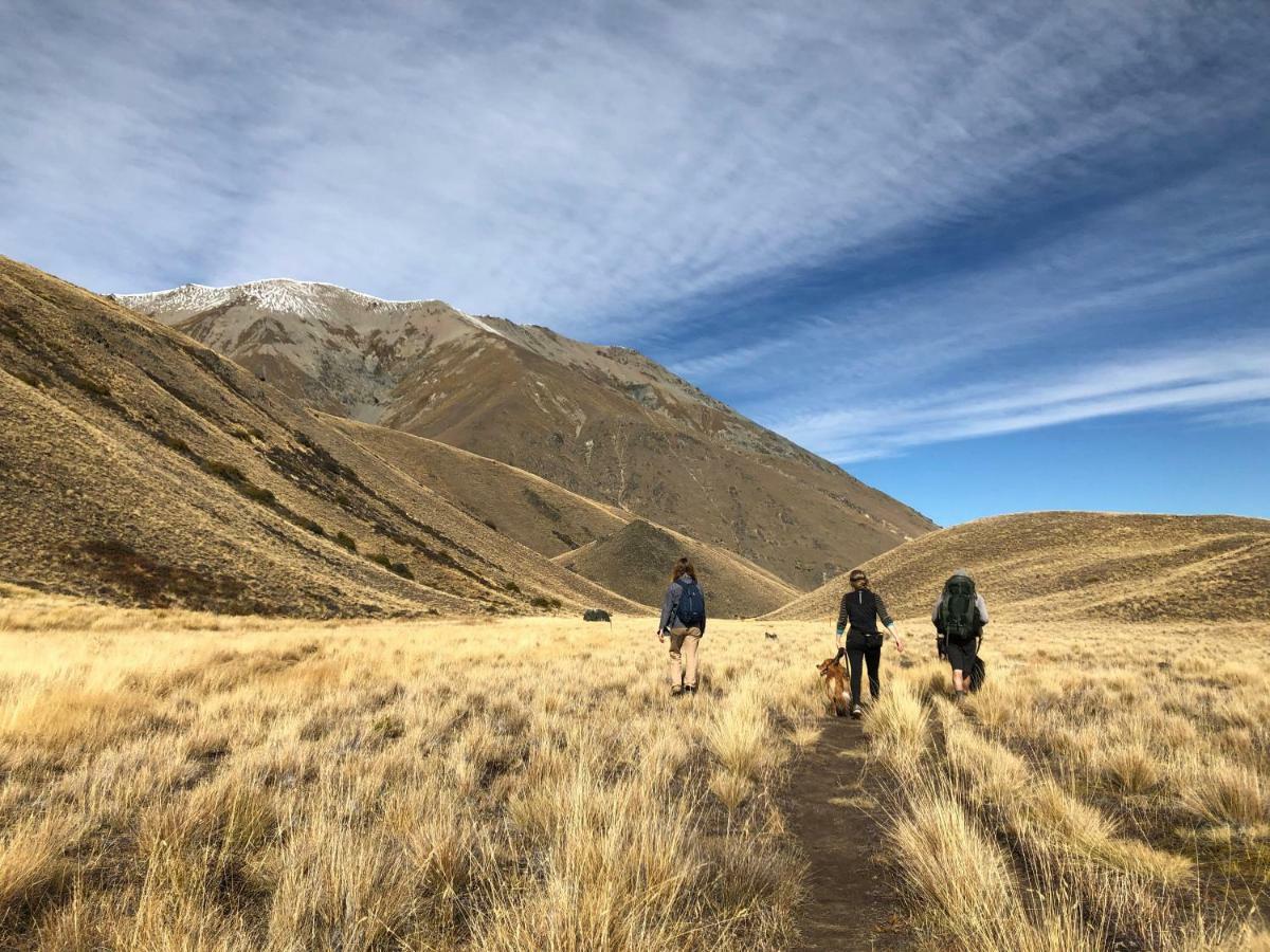 Tailor Made Tekapo Accommodation - Hostel Лейк Текапо Екстериор снимка