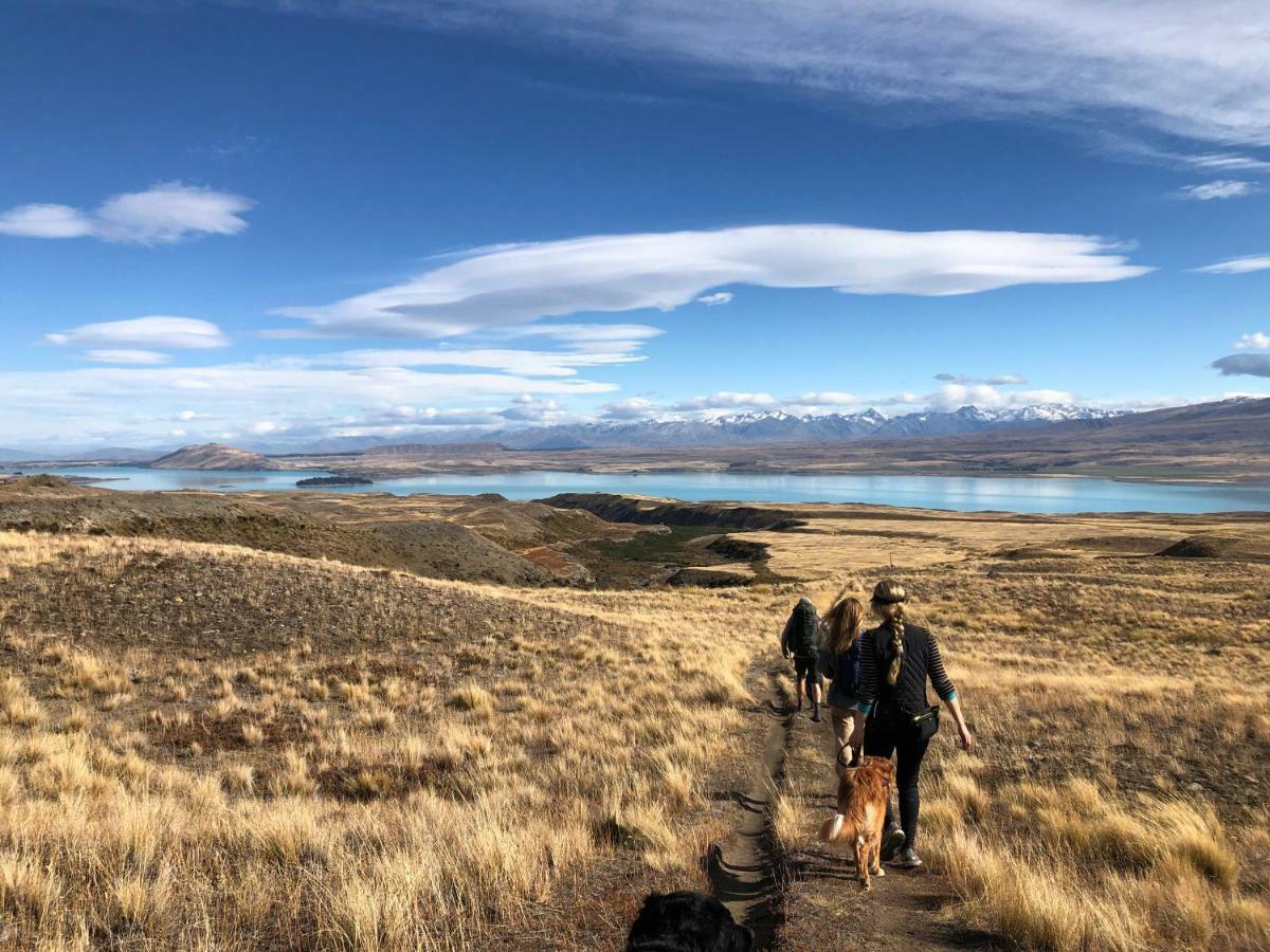 Tailor Made Tekapo Accommodation - Guesthouse & Hostel Лейк Текапо Екстериор снимка