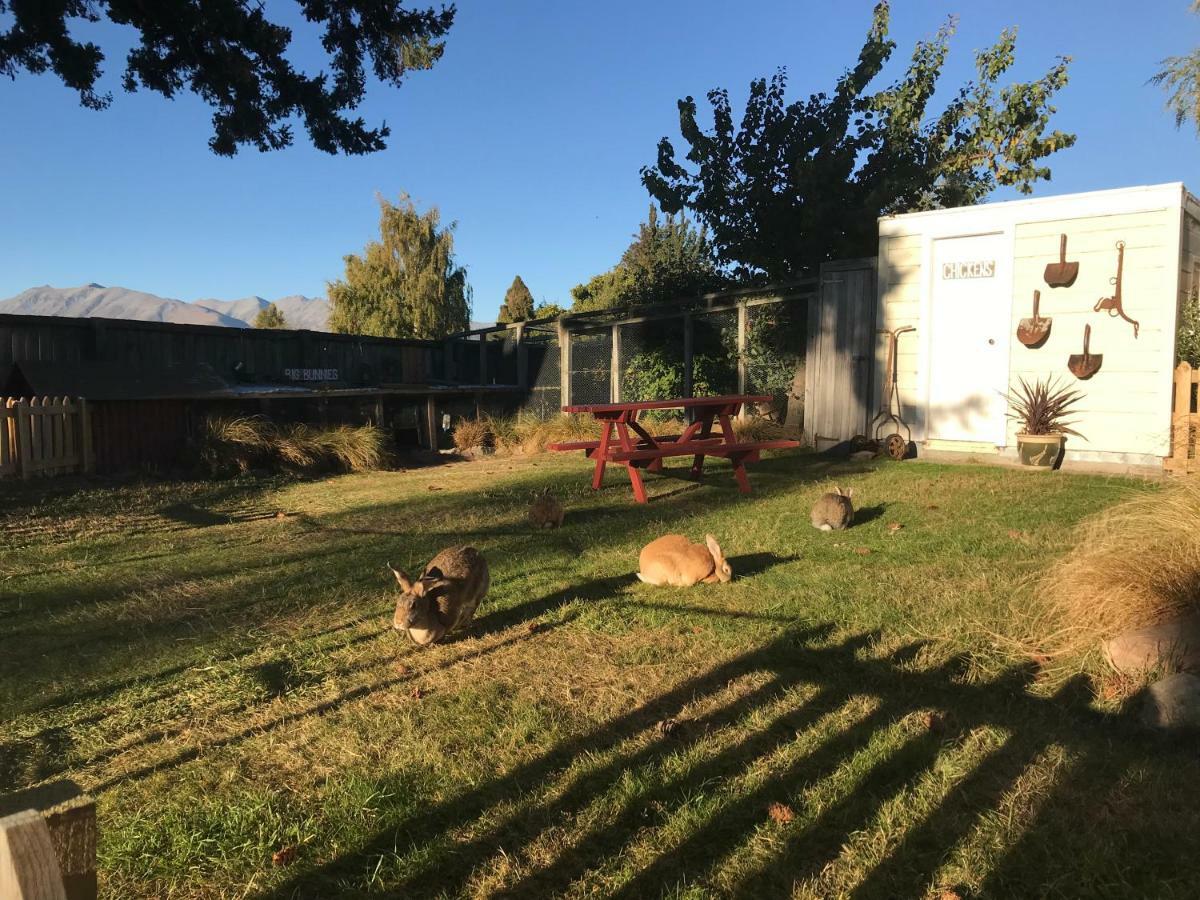 Tailor Made Tekapo Accommodation - Hostel Лейк Текапо Екстериор снимка