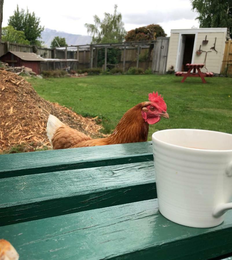 Tailor Made Tekapo Accommodation - Hostel Лейк Текапо Екстериор снимка